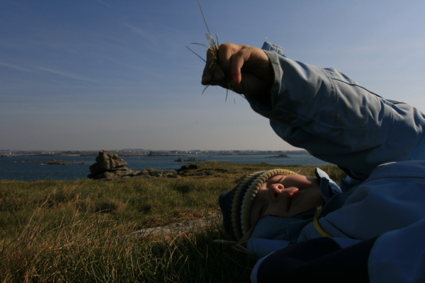 Frankreich60036 Frankreich60036