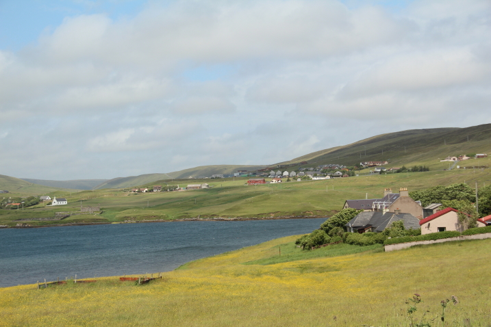 Shetland39